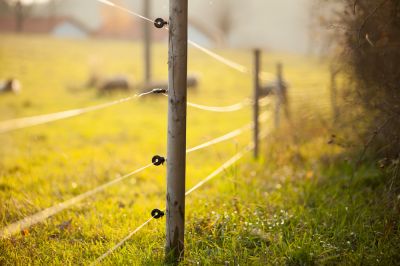 Electric Fence - Jem Fence Installation And Repair Iuka, Mississippi