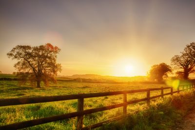 Field And Horse Fence - Jem Fence Installation And Repair Danville, Illinois